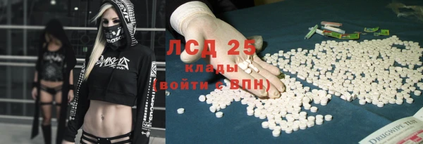 ПСИЛОЦИБИНОВЫЕ ГРИБЫ Абаза