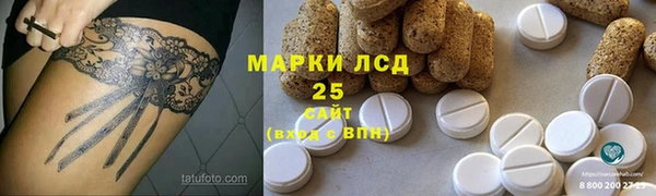 ПСИЛОЦИБИНОВЫЕ ГРИБЫ Абаза