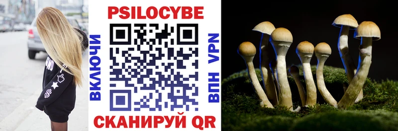 где купить наркотик  Янаул  кракен зеркало  Галлюциногенные грибы Magic Shrooms 