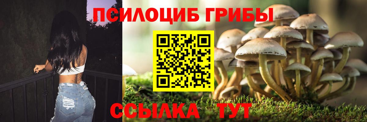 Псилоцибиновые грибы мухоморы  продажа наркотиков  Псилоцибиновые грибы мицелий  Янаул  Вход с VPN 